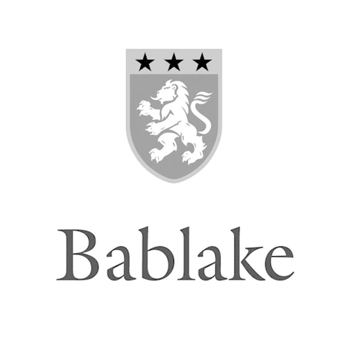  Bablake